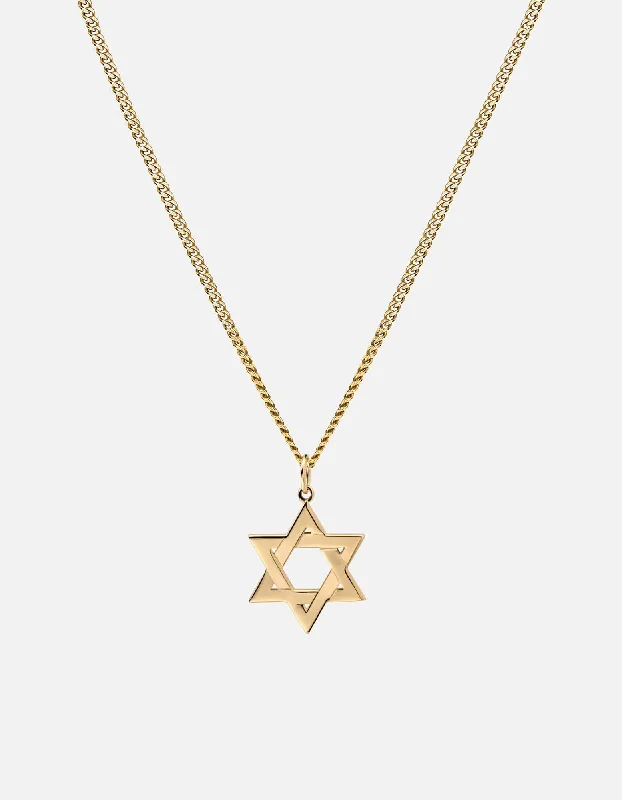 Star of David I Necklace, 14k Gold